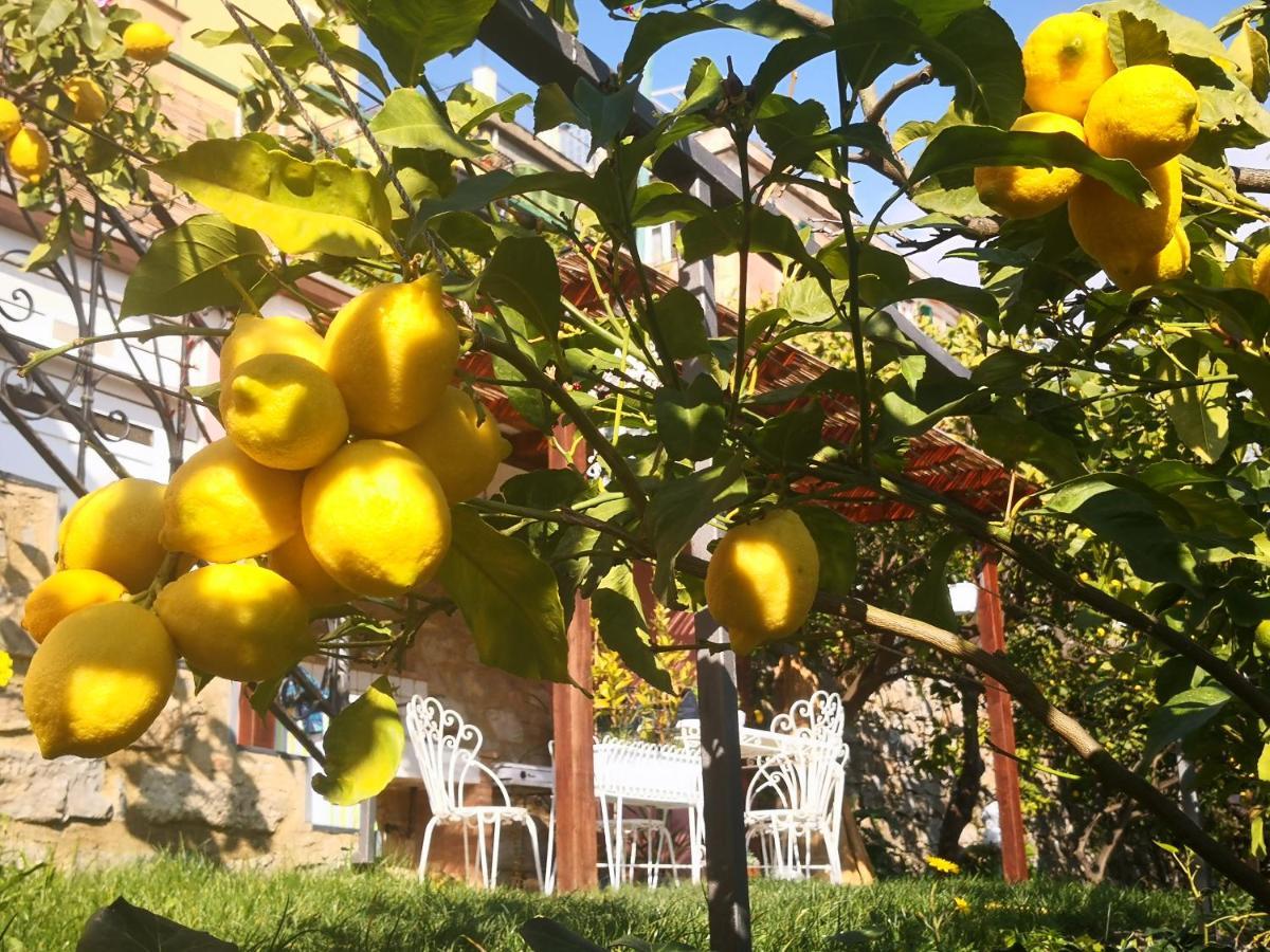 Florinda Lemon'S Suite شيرفو المظهر الخارجي الصورة