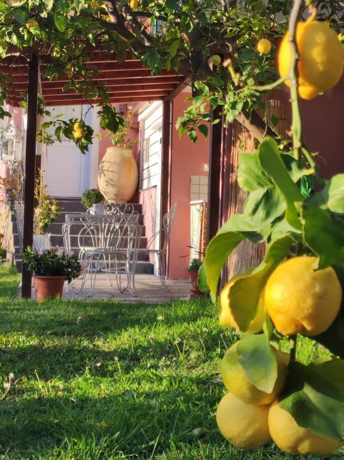 Florinda Lemon'S Suite شيرفو المظهر الخارجي الصورة